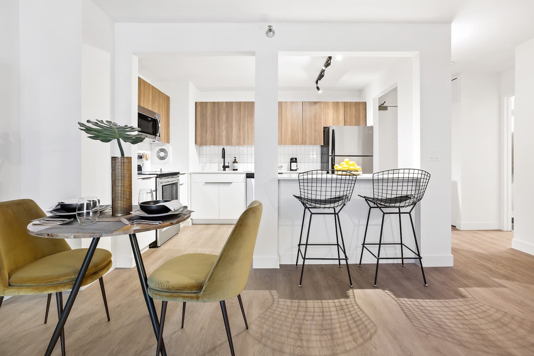 Chicago Condo: 1251 North Wells Street