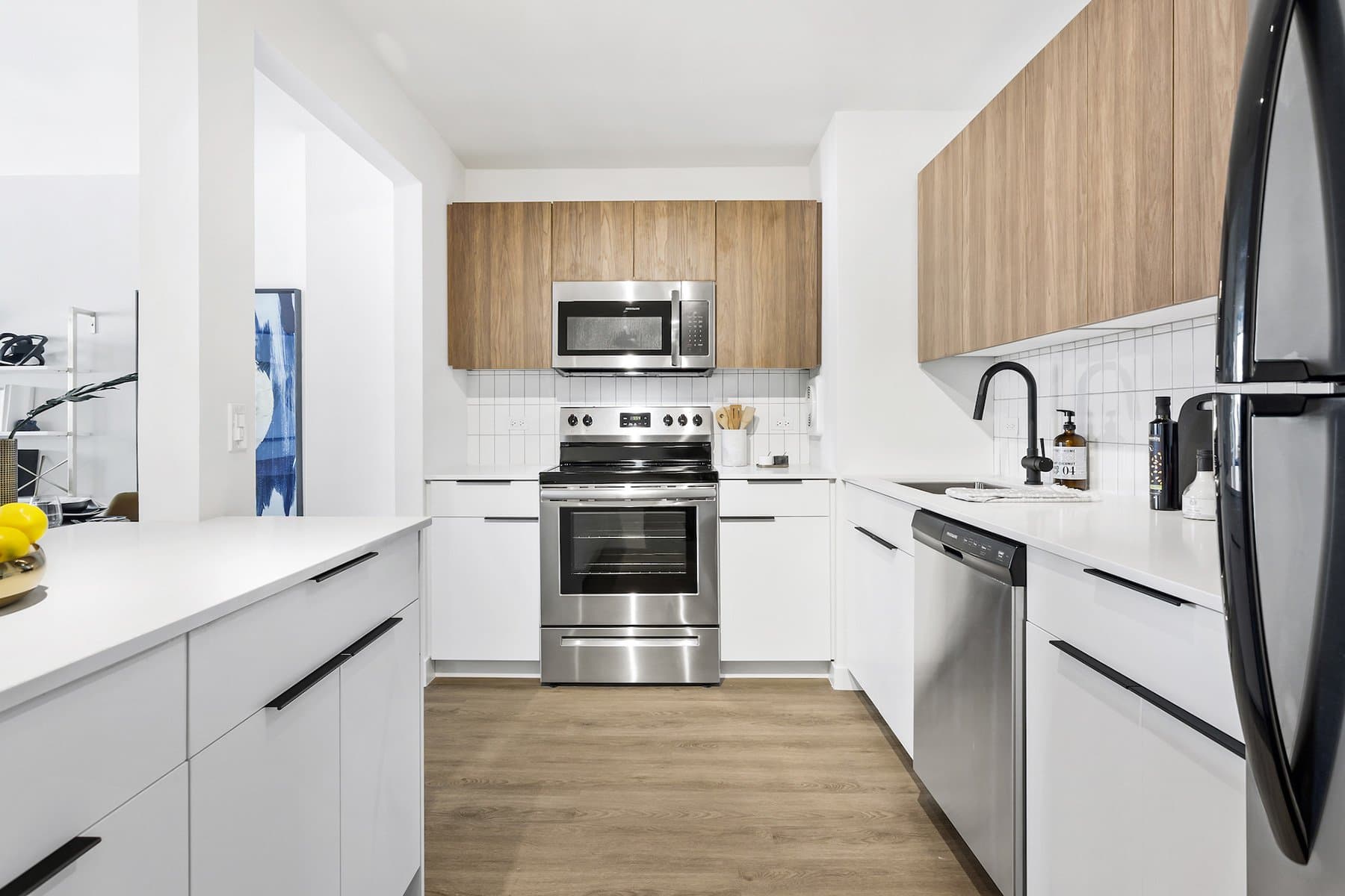 Chicago Condo: 1251 North Wells Street