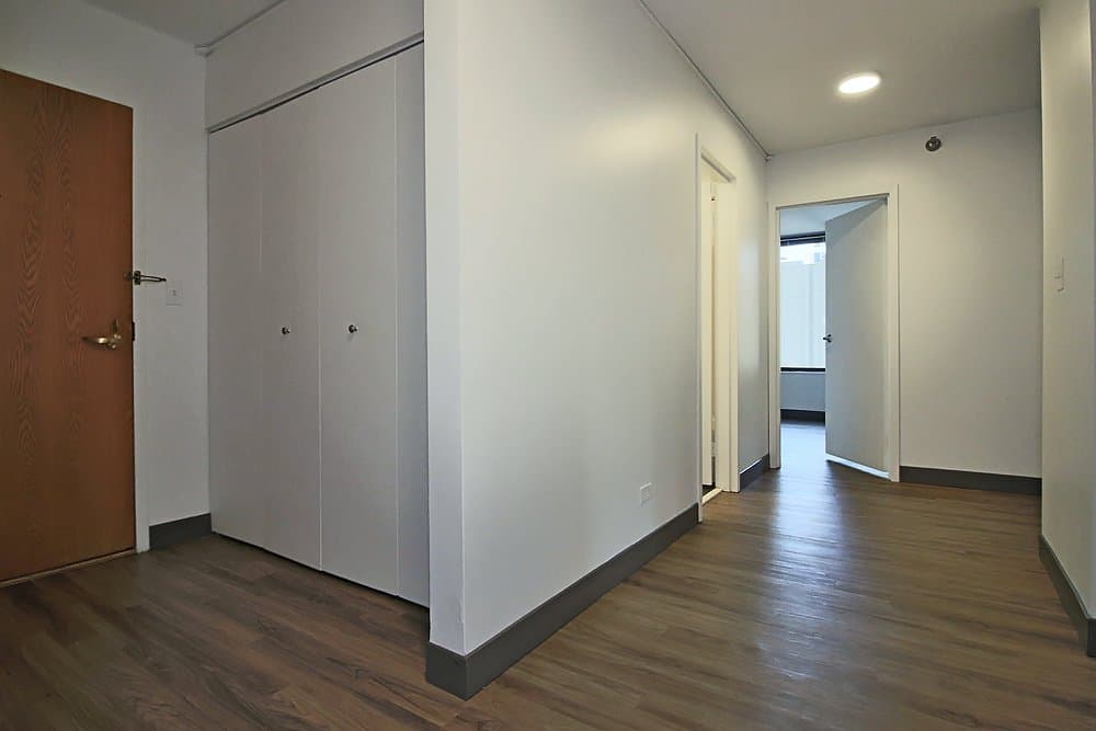 Chicago Condo: 407 East Ontario Street