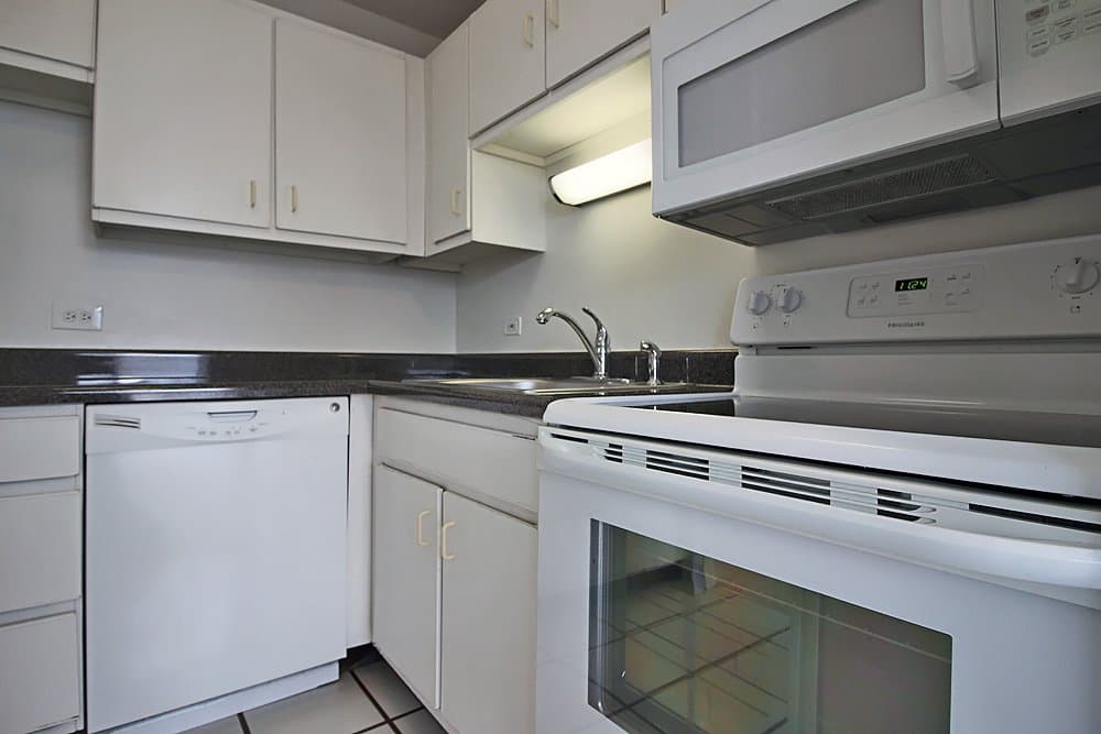 Chicago Condo: 1169 North State Street