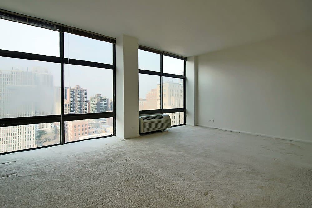 Chicago Condo: 1169 North State Street