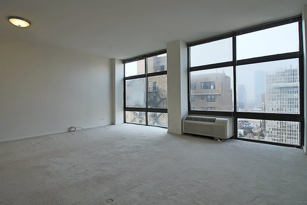 Chicago Condo: 1169 North State Street