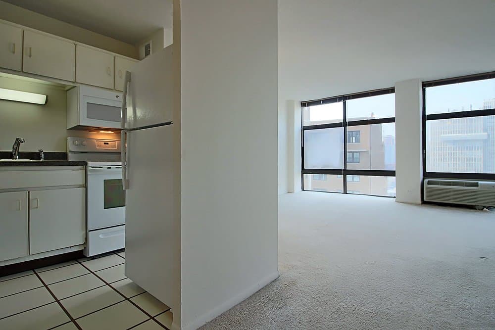 Chicago Condo: 1169 North State Street