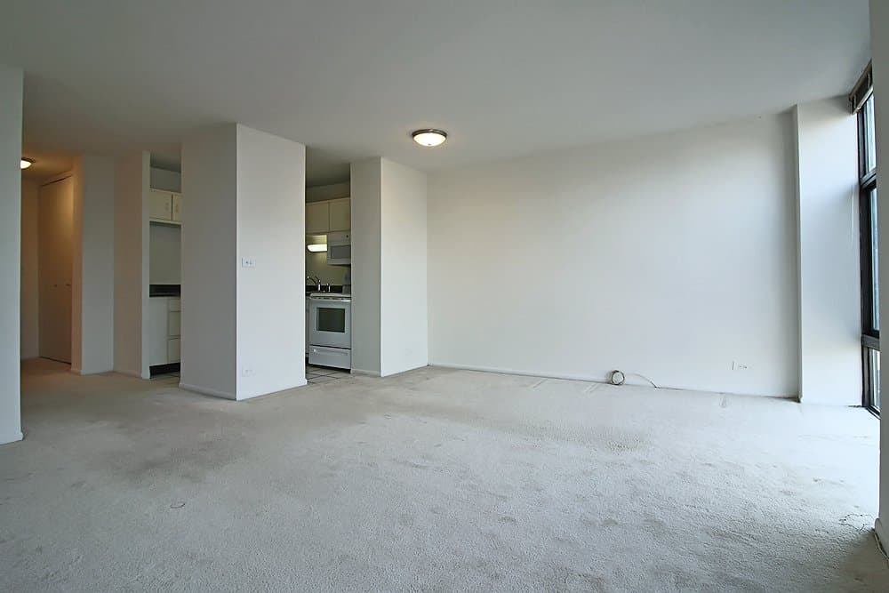 Chicago Condo: 1169 North State Street