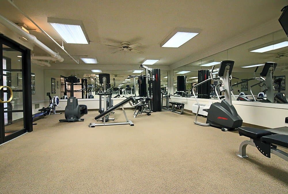 Chicago Condo: 1169 North State Street