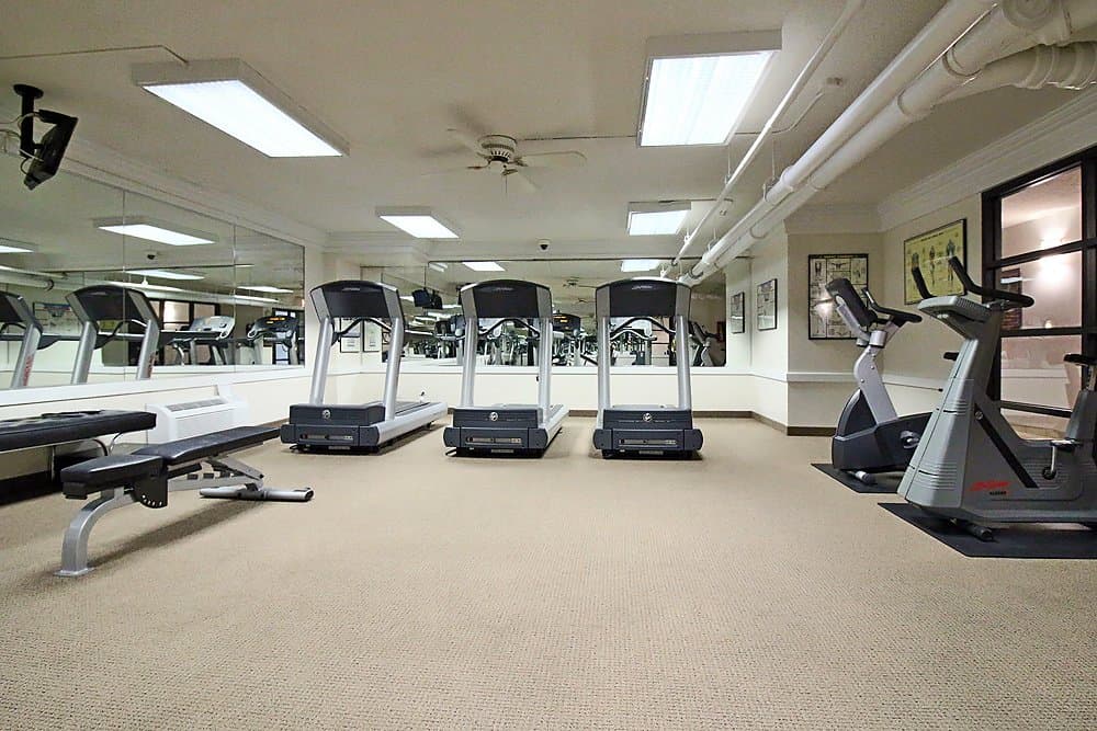 Chicago Condo: 1169 North State Street