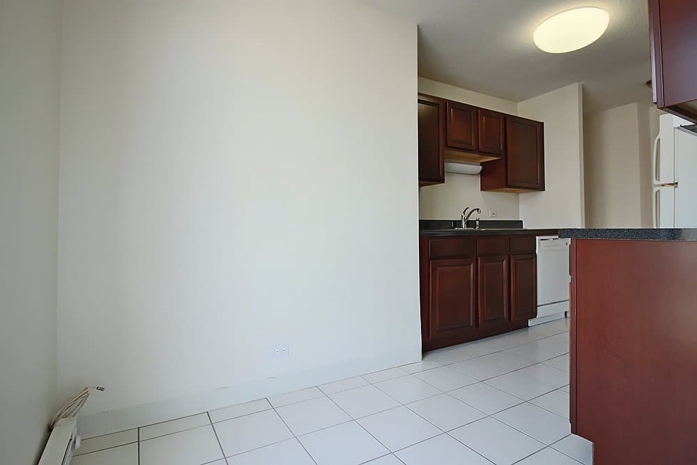 Chicago Condo: 1169 North State Street