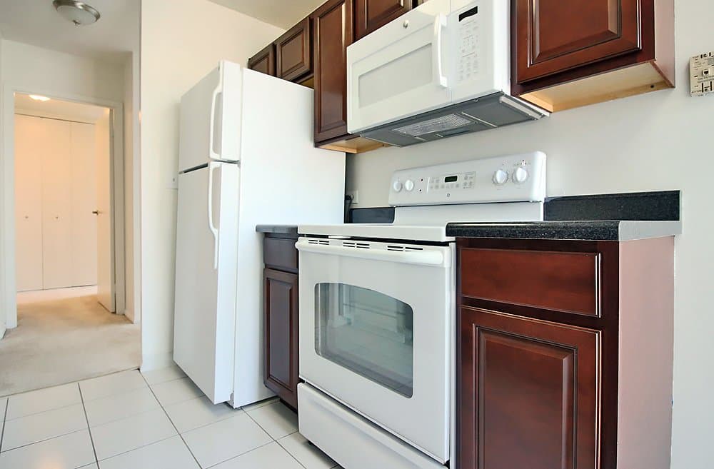 Chicago Condo: 1169 North State Street