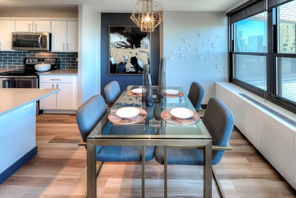 Chicago Condo: 70 East 11th Street