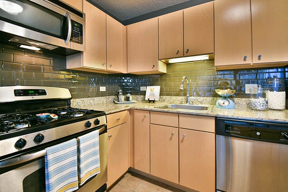 Chicago Condo: 337 East Randolph Street