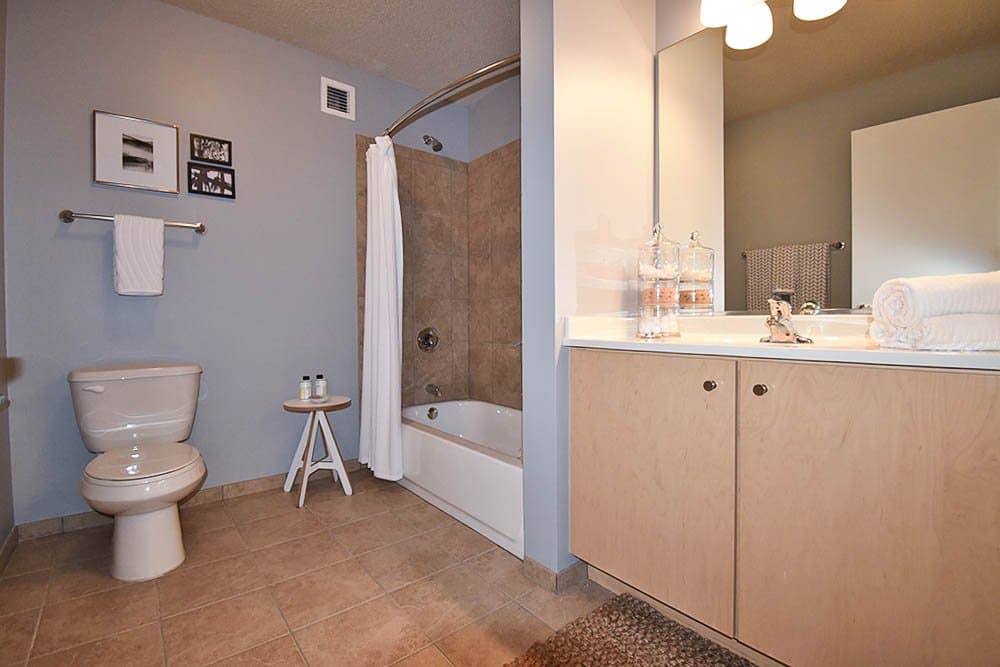 Chicago Condo: 337 East Randolph Street