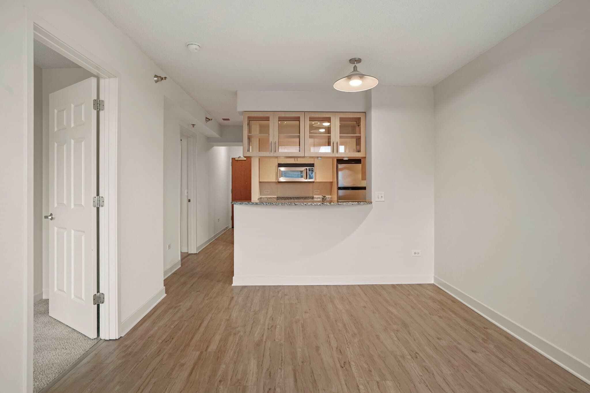 Chicago Condo: 1257 South Wabash Avenue