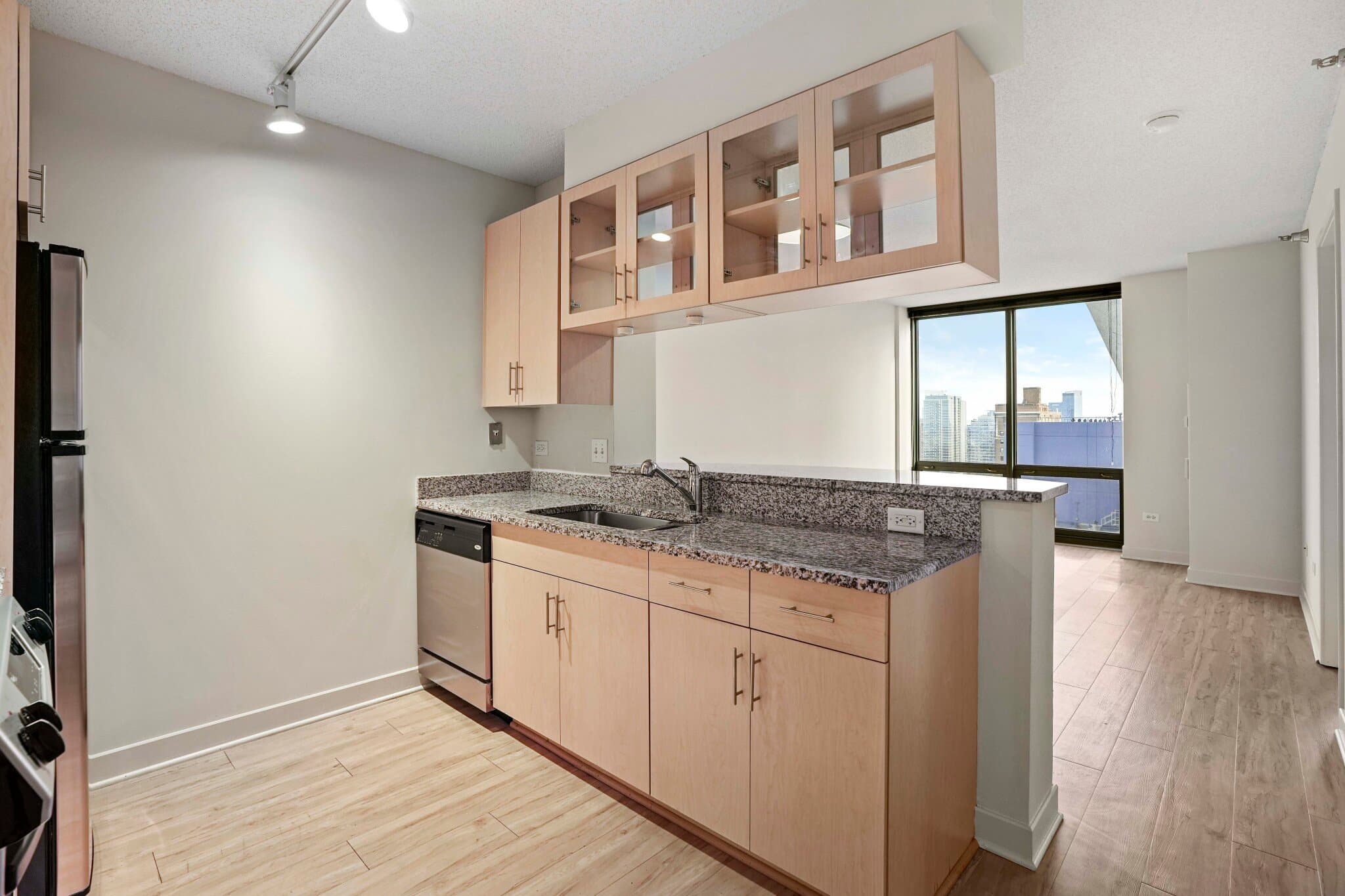 Chicago Condo: 1219 South Prairie Avenue
