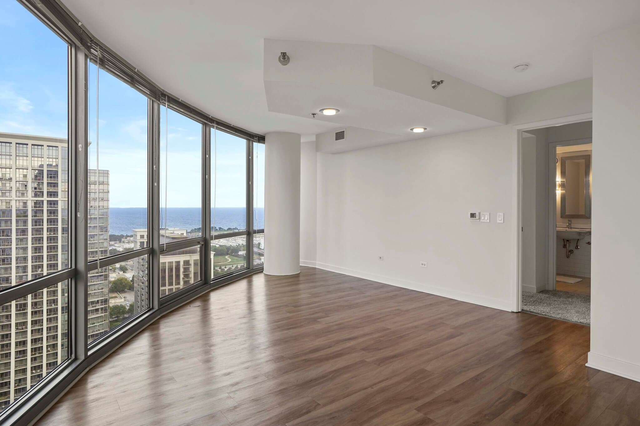 Chicago Condo: 1219 South Prairie Avenue
