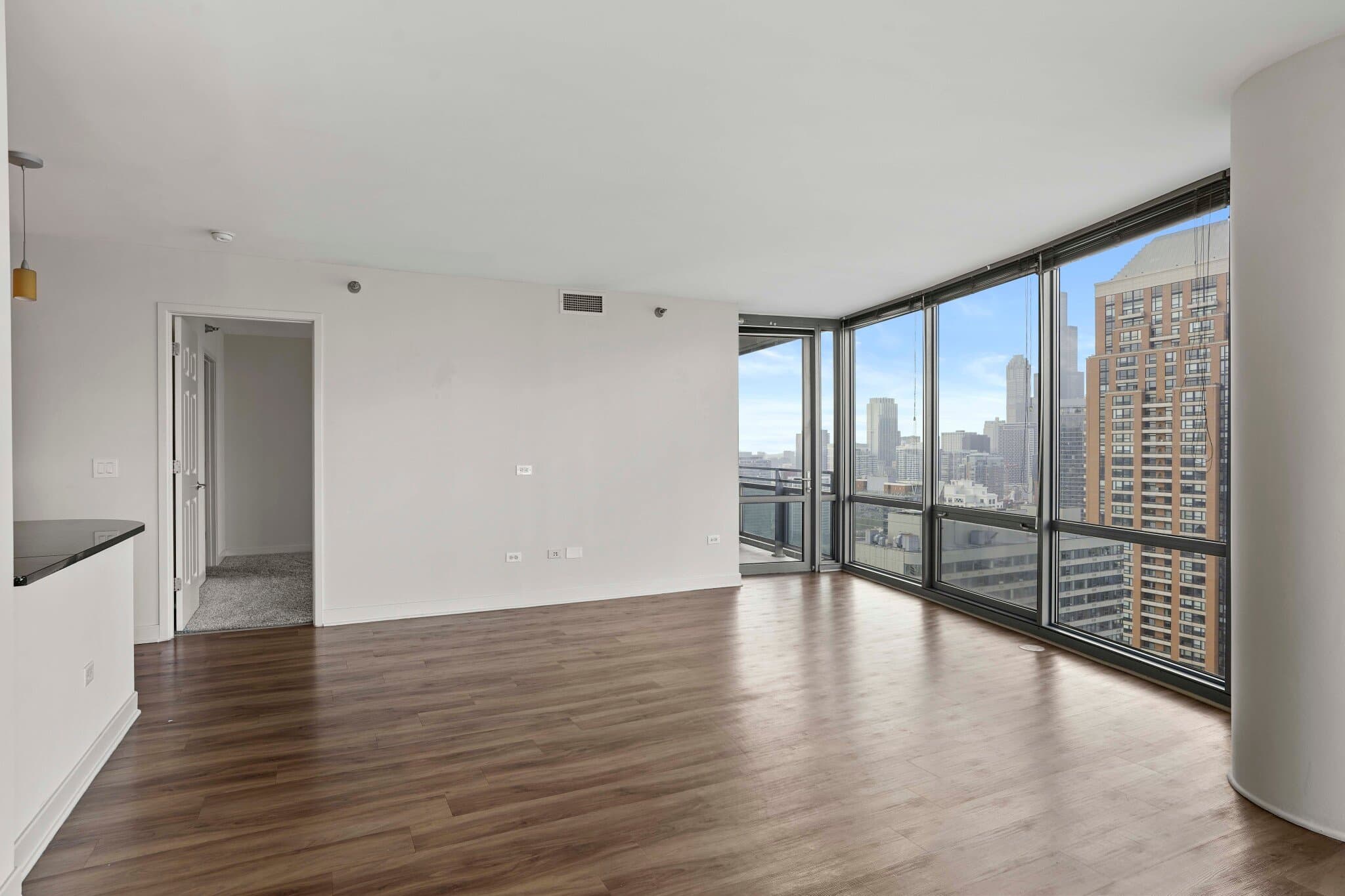 Chicago Condo: 1219 South Prairie Avenue