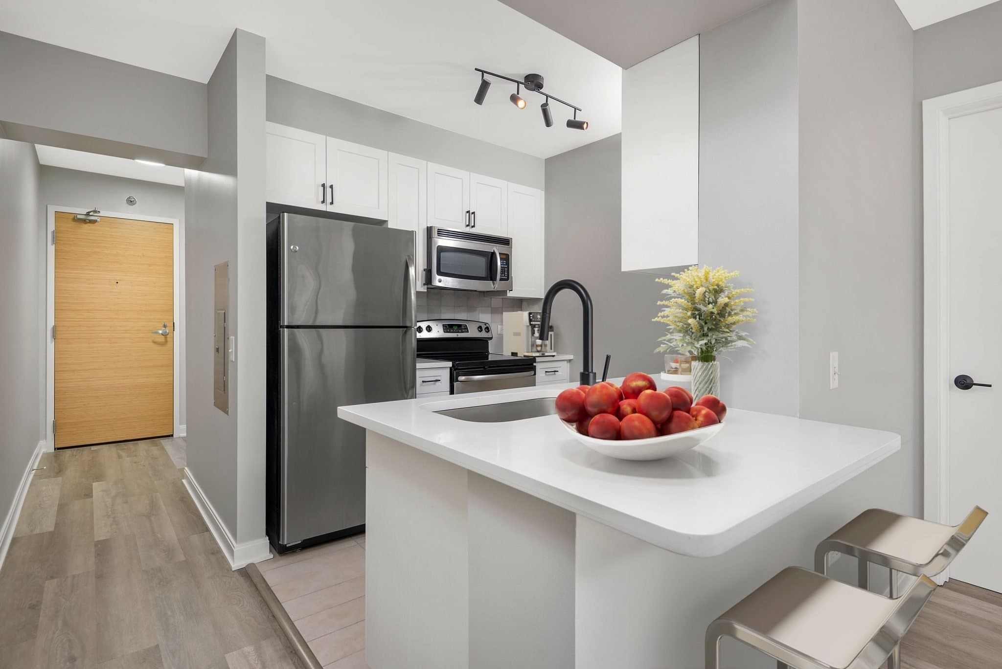 Chicago Condo: 219 West Wacker Drive
