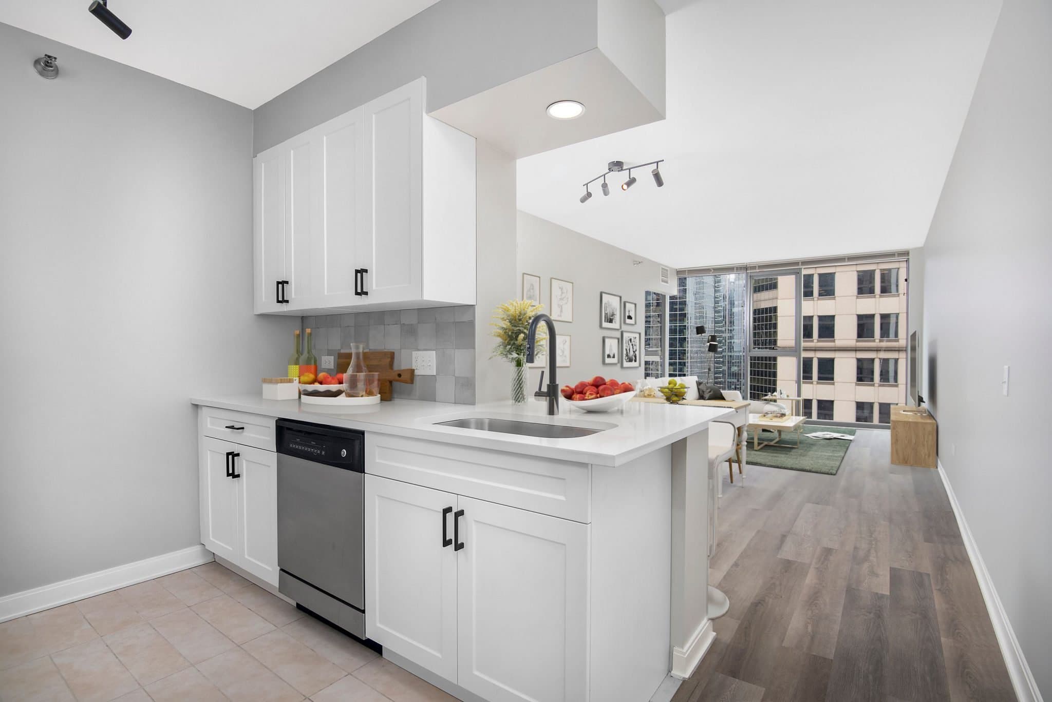 Chicago Condo: 219 West Wacker Drive