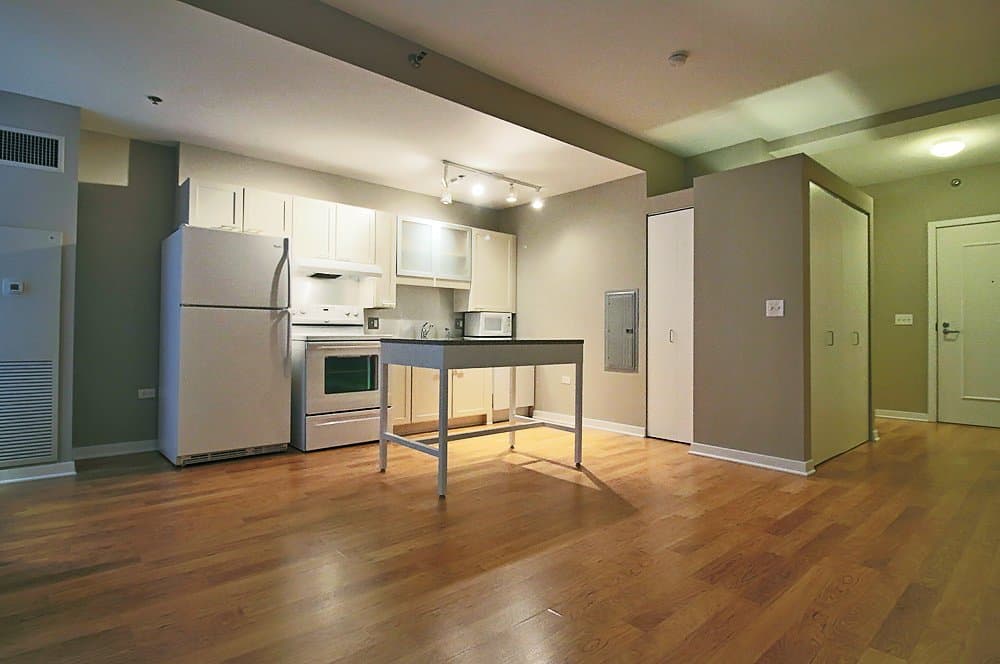 Chicago Condo: 158 North La Salle Street
