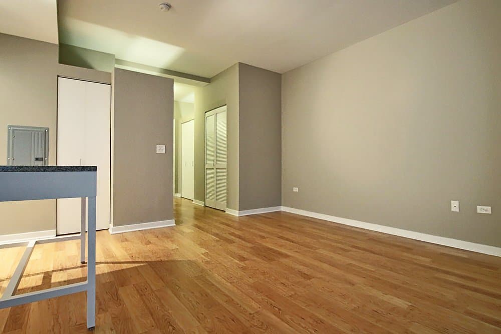 Chicago Condo: 158 North La Salle Street