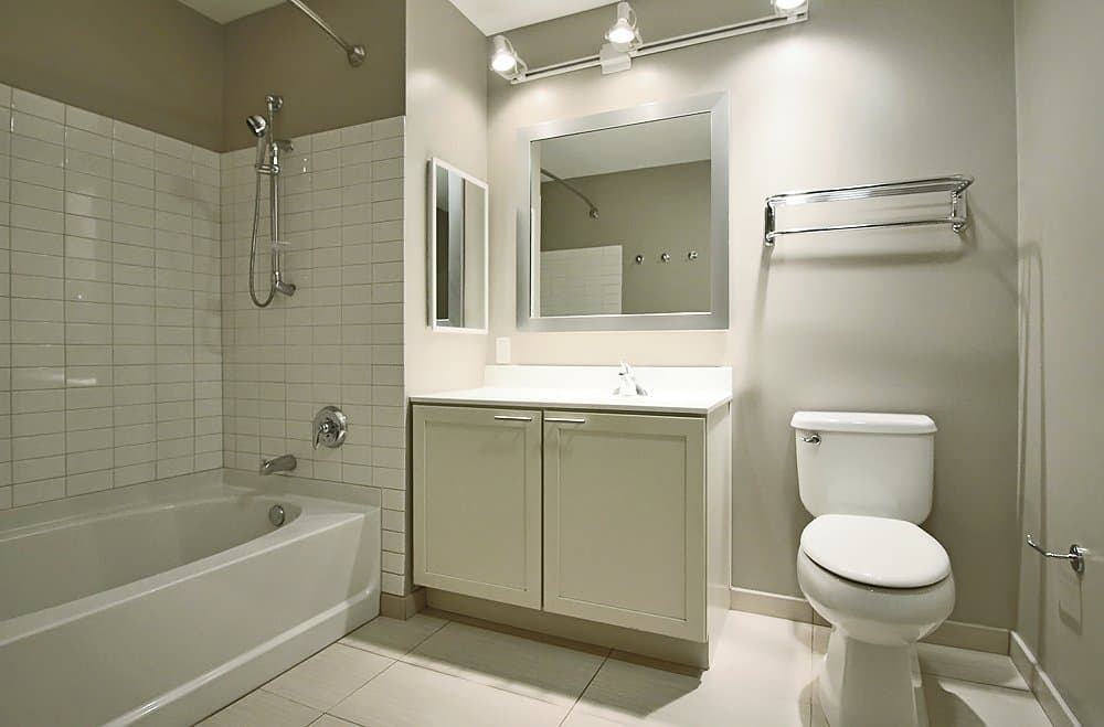 Chicago Condo: 158 North La Salle Street