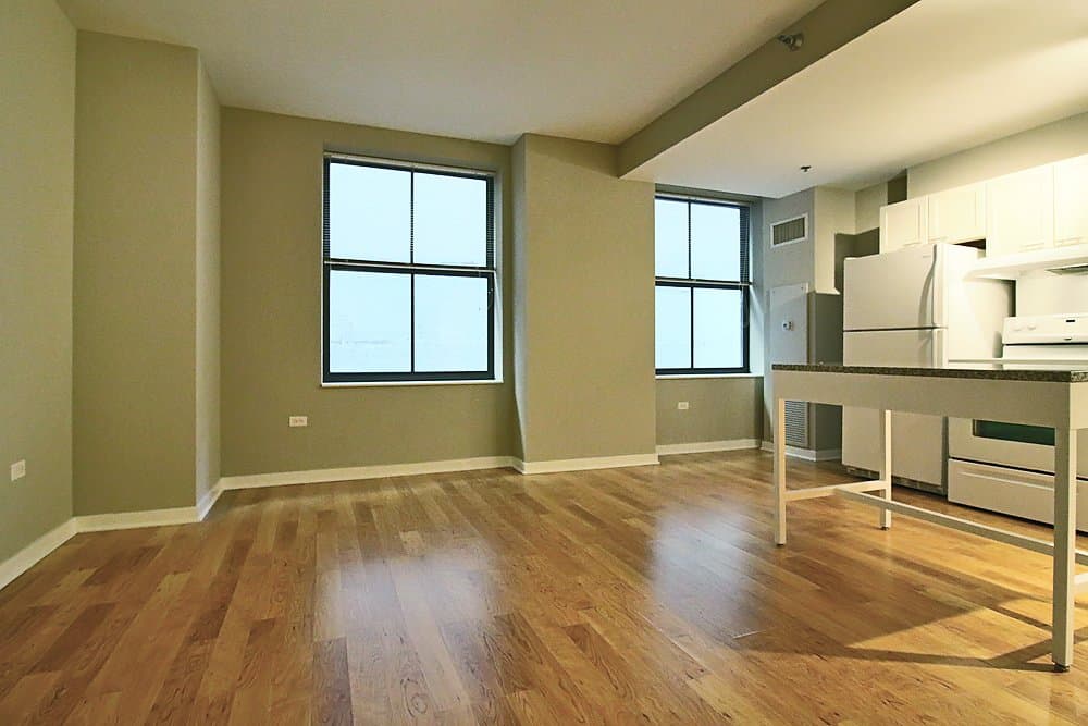 Chicago Condo: 158 North La Salle Street
