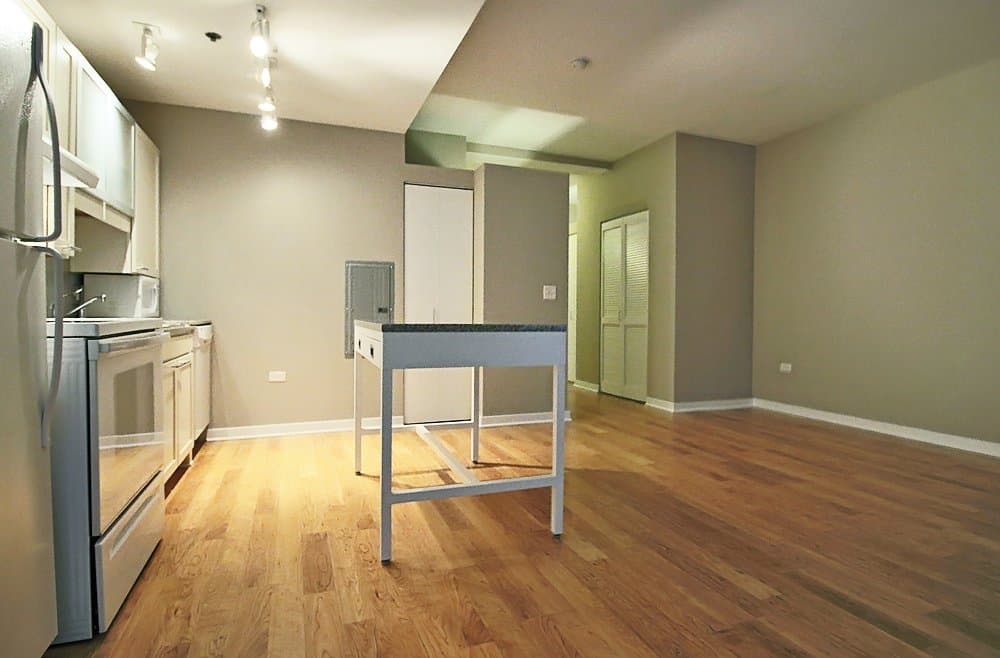 Chicago Condo: 158 North La Salle Street
