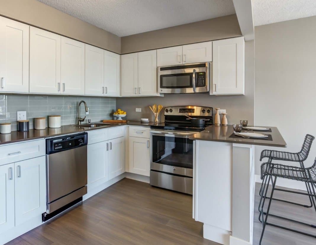 Chicago Condo: 443 West Deming Place