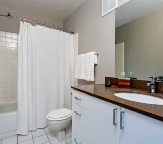Chicago Condo: 443 West Deming Place