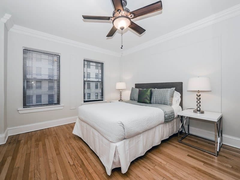 Chicago Condo: 839 North Michigan Avenue