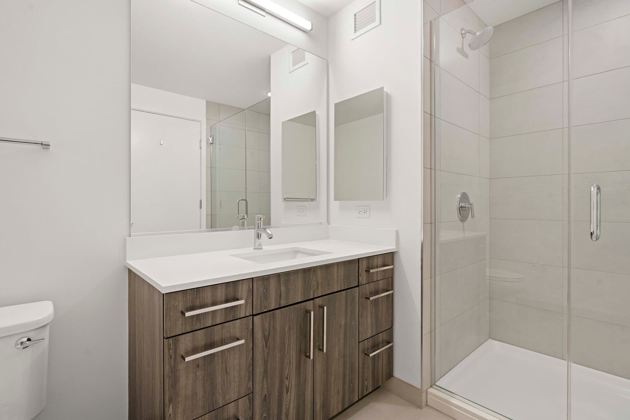 Chicago Condo: 825 S Wabash Ave