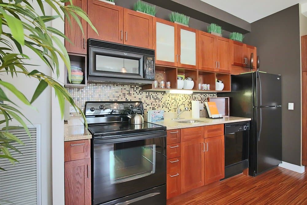 Chicago Condo: 179 North Wabash Avenue