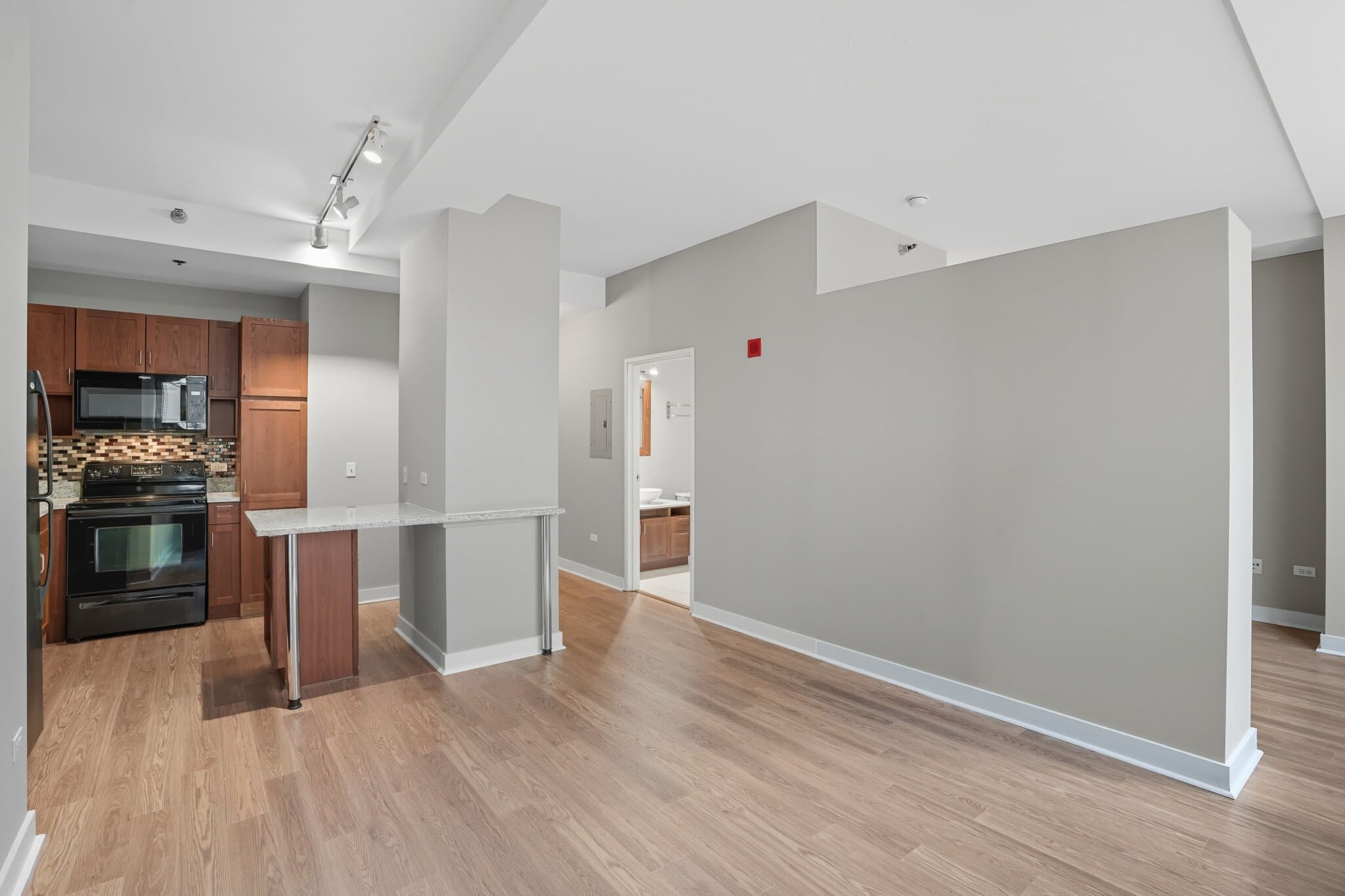 Chicago Condo: 179 North Wabash Avenue