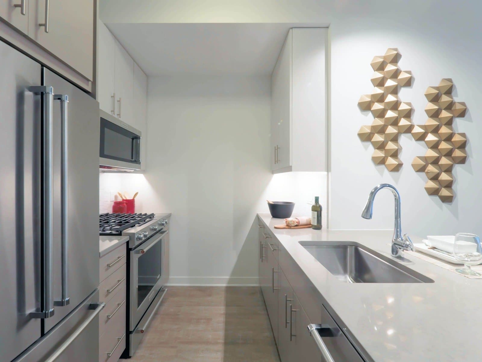 Chicago Condo: 409 East Ontario Street