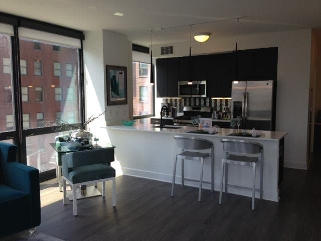 Chicago Condo: 181 North Wabash Avenue