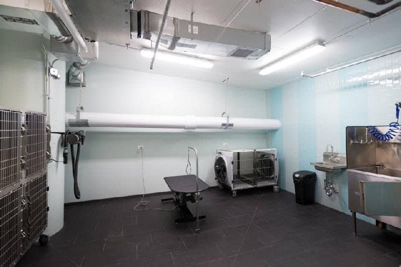 Chicago Condo: 181 North Wabash Avenue