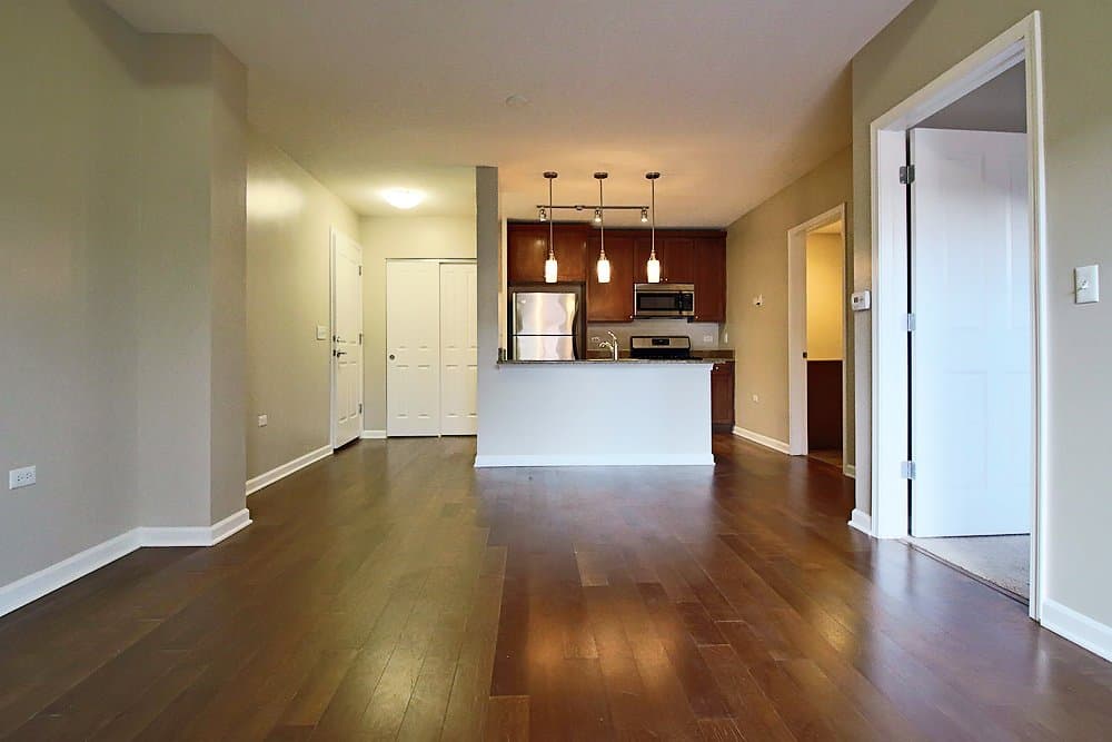 Chicago Condo: 1927 South Wabash Avenue
