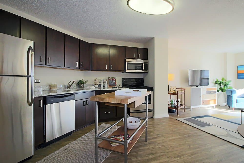 Chicago Condo: 837 North Dearborn Street