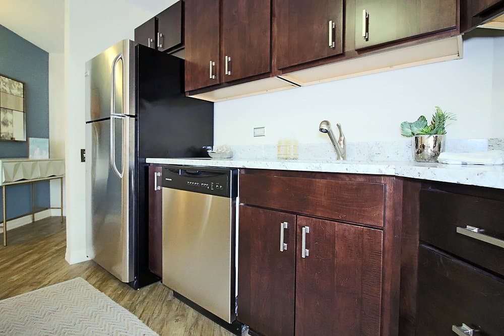 Chicago Condo: 837 North Dearborn Street