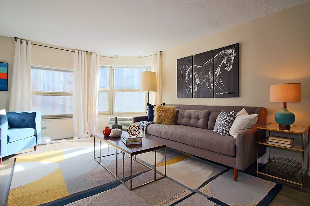 Chicago Condo: 837 North Dearborn Street