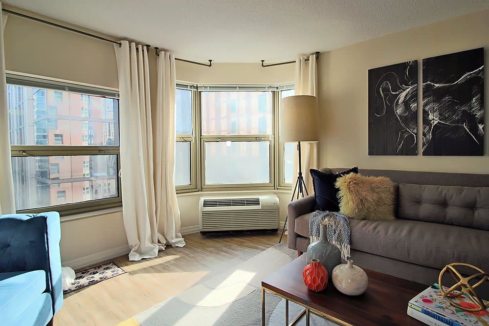Chicago Condo: 837 North Dearborn Street