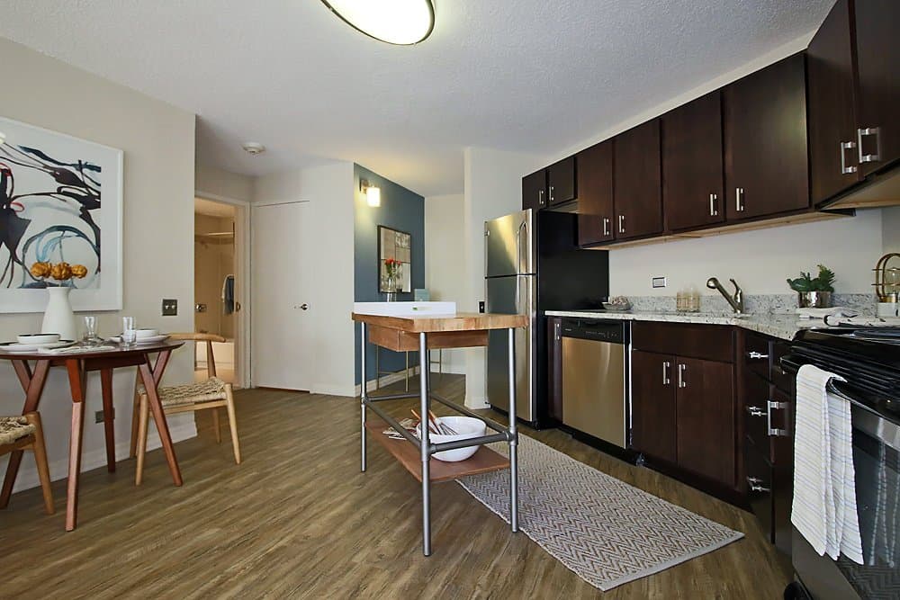 Chicago Condo: 837 North Dearborn Street