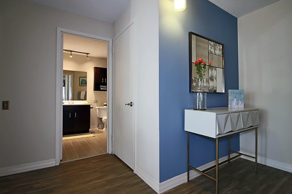 Chicago Condo: 837 North Dearborn Street