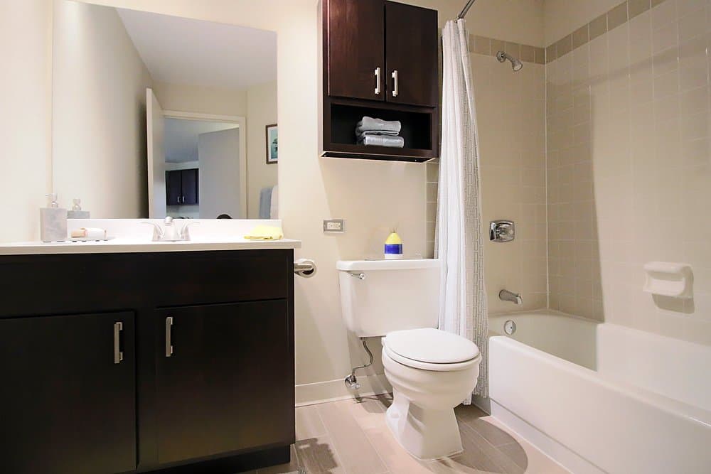 Chicago Condo: 837 North Dearborn Street