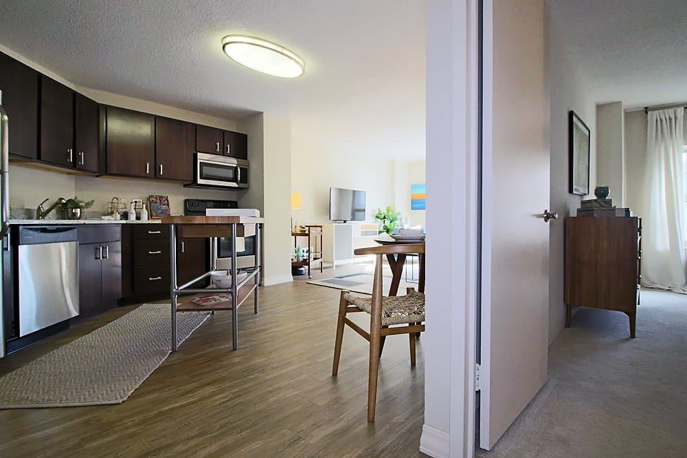 Chicago Condo: 837 North Dearborn Street