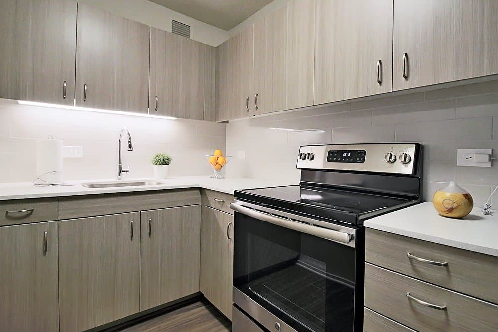 Chicago Condo: 1109 North Clark Street
