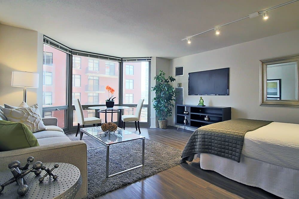 Chicago Condo: 1109 North Clark Street
