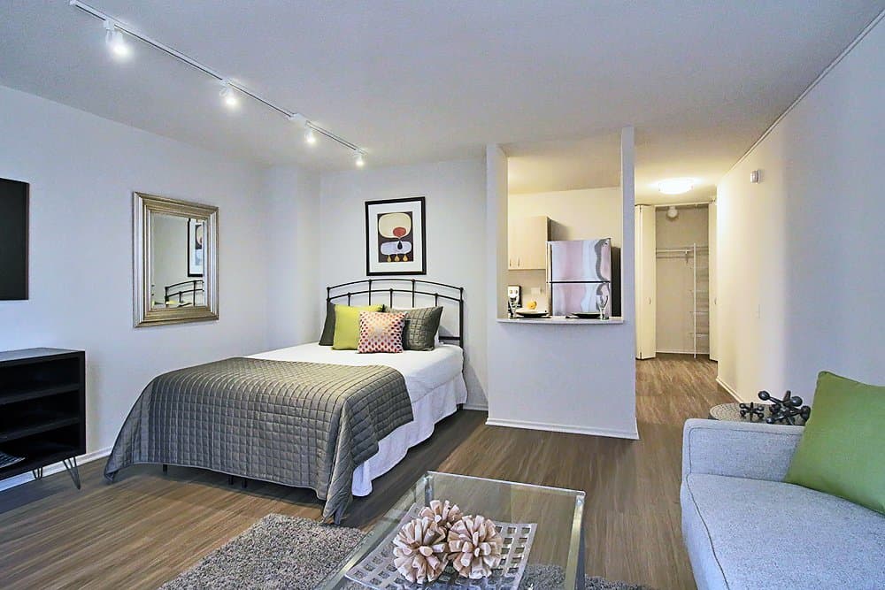 Chicago Condo: 1109 North Clark Street