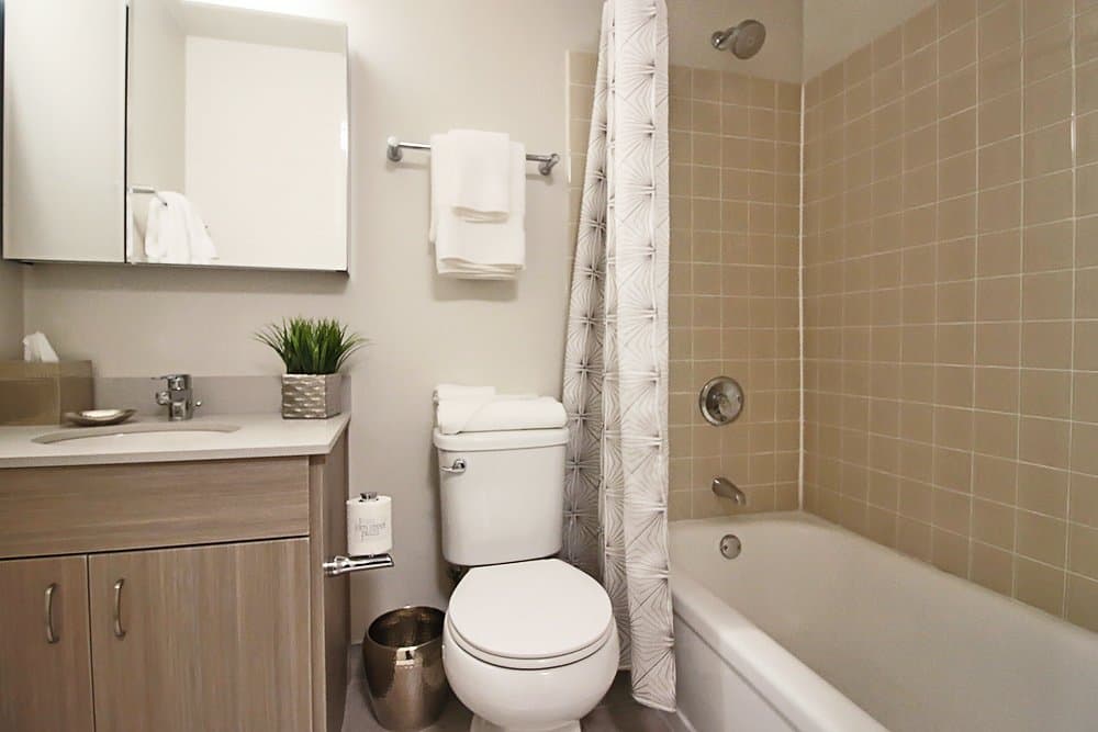 Chicago Condo: 1109 North Clark Street