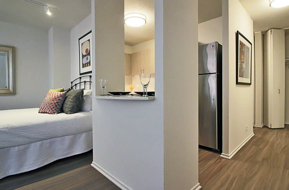 Chicago Condo: 1109 North Clark Street