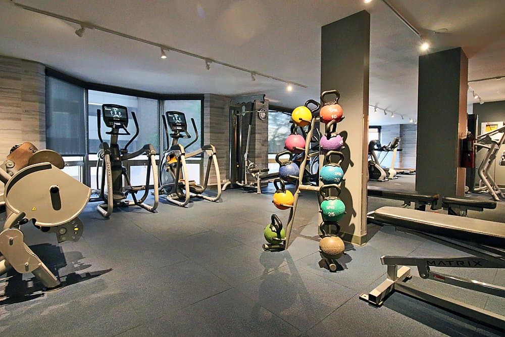 Chicago Condo: 1109 North Clark Street